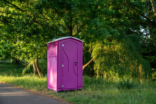 Portable Toilet Options We Offer in Browntown, PA